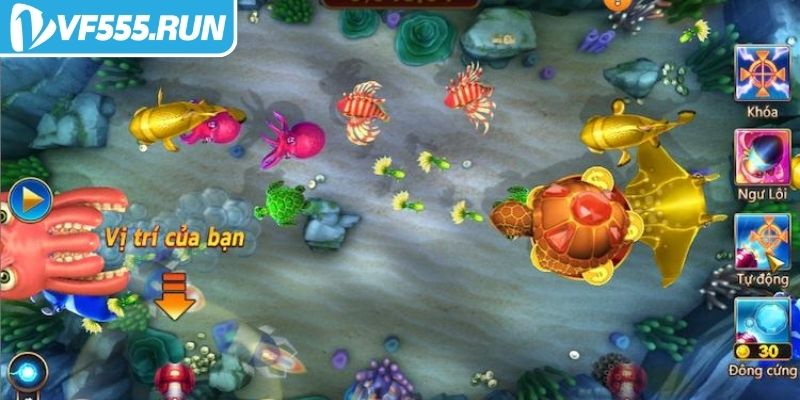 Cách chơi cá cược Câu Cá Chiến VF555